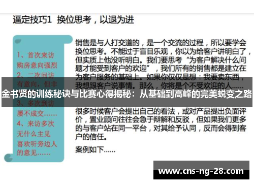 金书贤的训练秘诀与比赛心得揭秘：从基础到高峰的完美蜕变之路