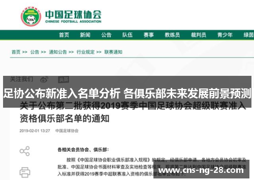 足协公布新准入名单分析 各俱乐部未来发展前景预测